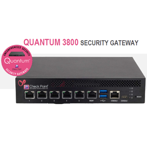 Check Point_Check Point Quantum 3800_/w/SPAM>